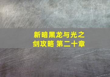 新暗黑龙与光之剑攻略 第二十章